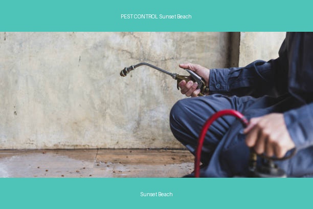 PEST CONTROL Sunset Beach
